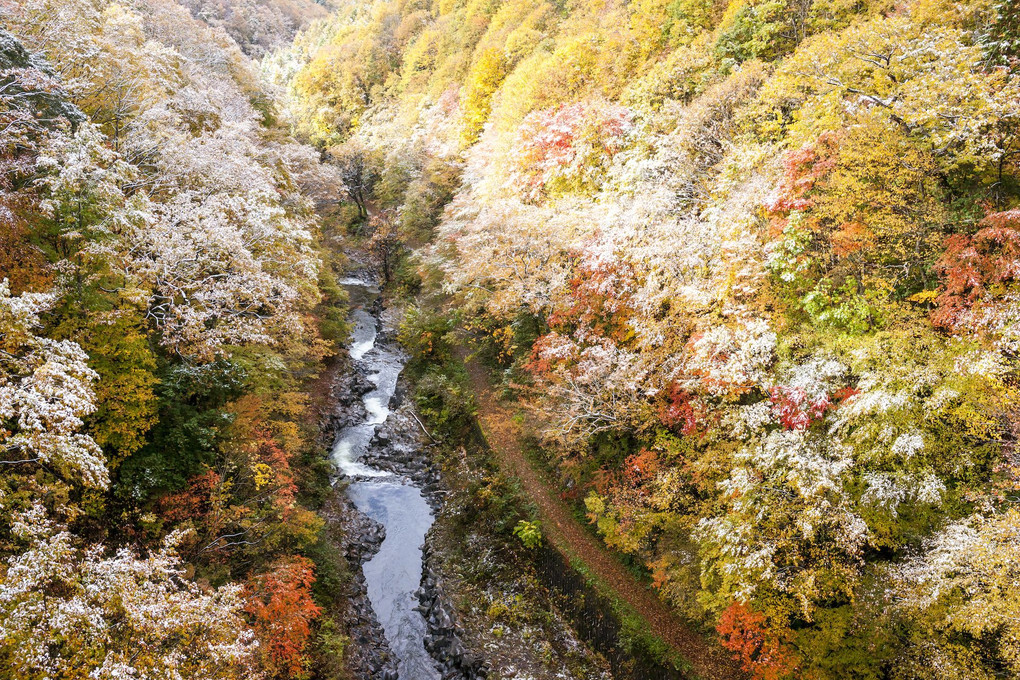 白雪の舞う秋の渓谷