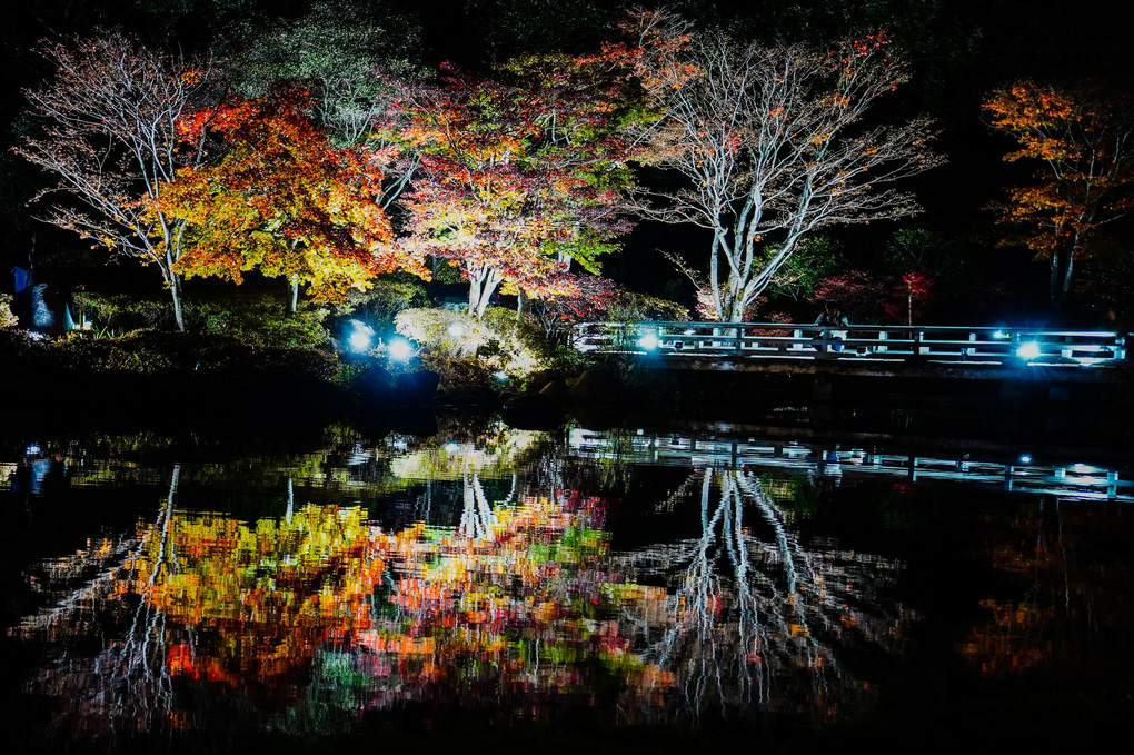 東京都立川市　昭和記念公園ライトアップ2019 ※今年は残念ながら中止のようです。