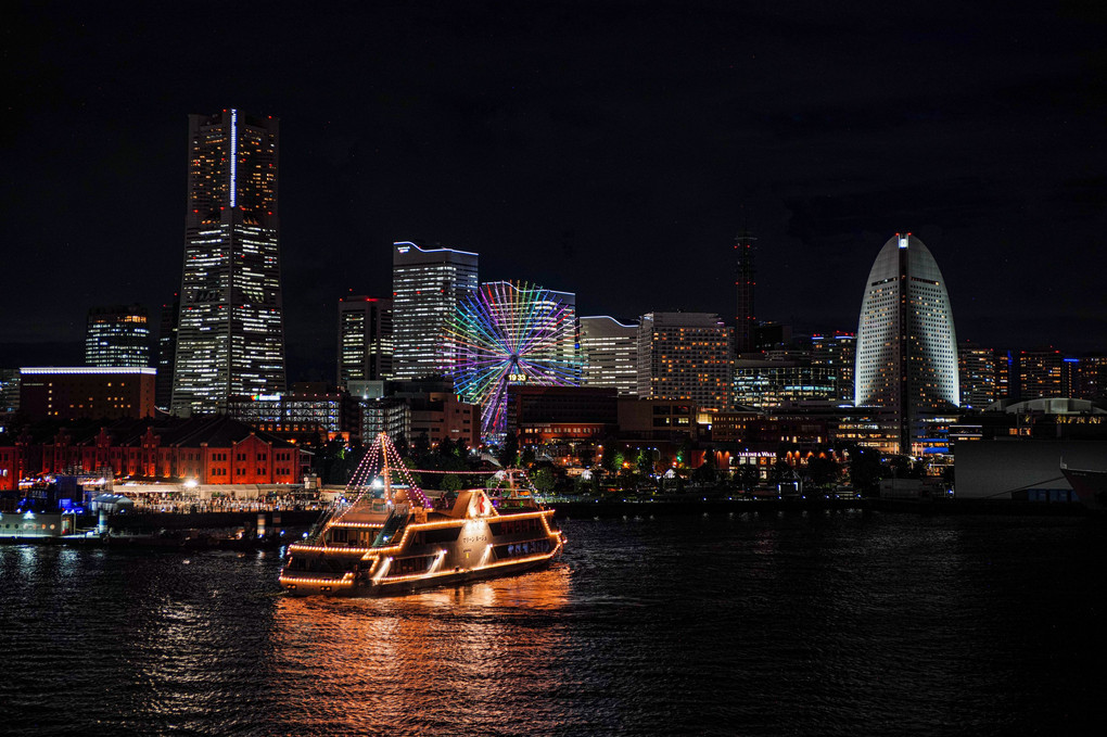 大さん橋　くじらのせなか　からの夜景🌃