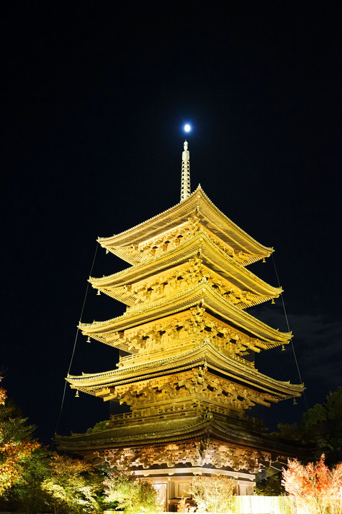 東寺の灯り