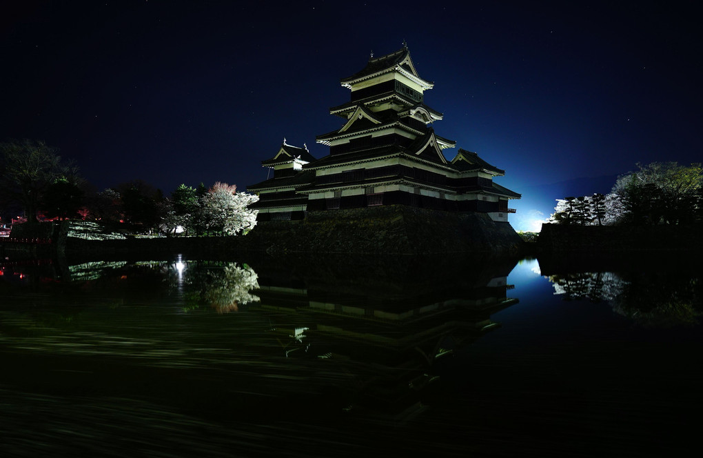 桜と城のライトアップ