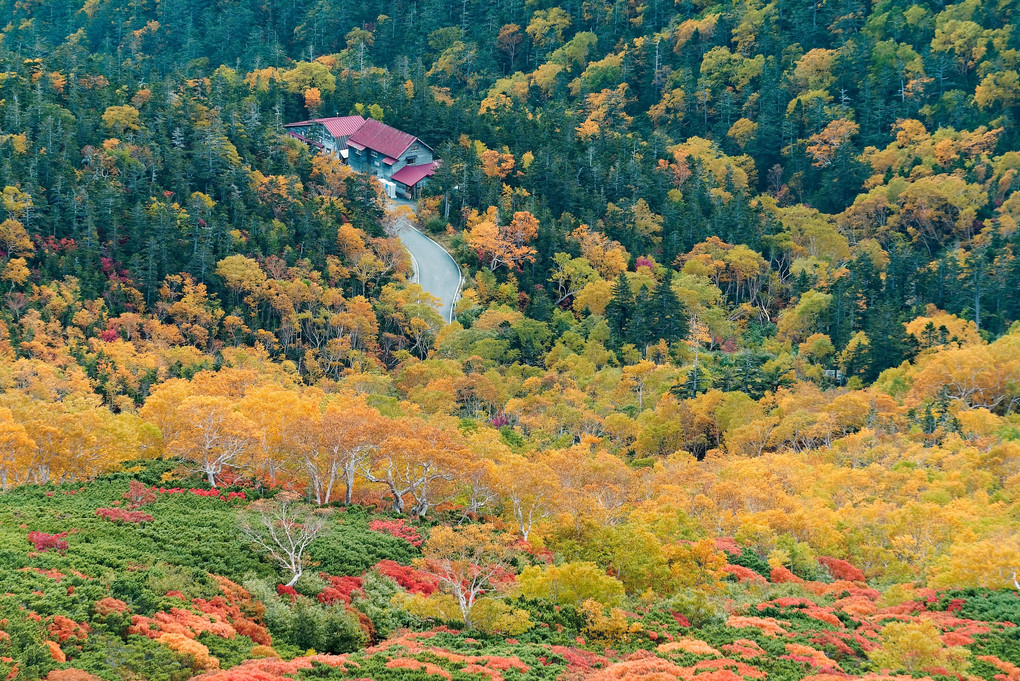 ２７００Ｍからの紅葉