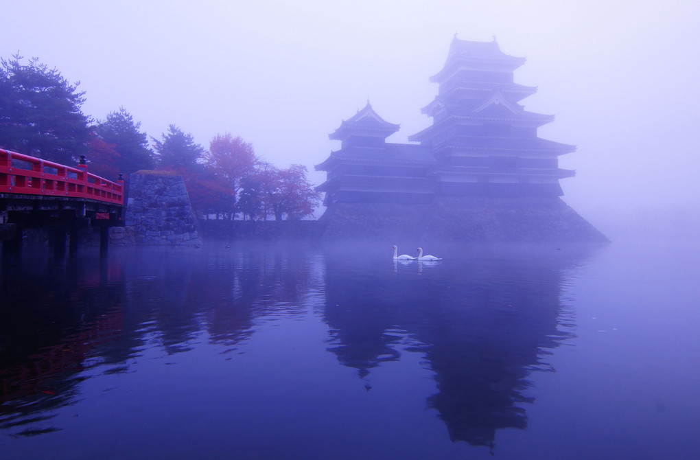 霧の松本城