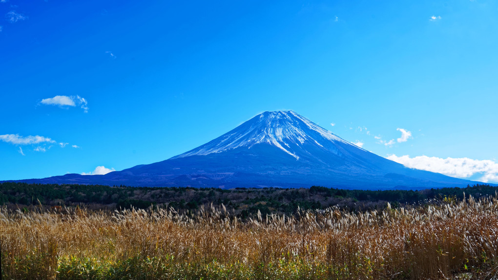 富士山～静岡県にて～