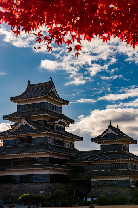 松本城の秋