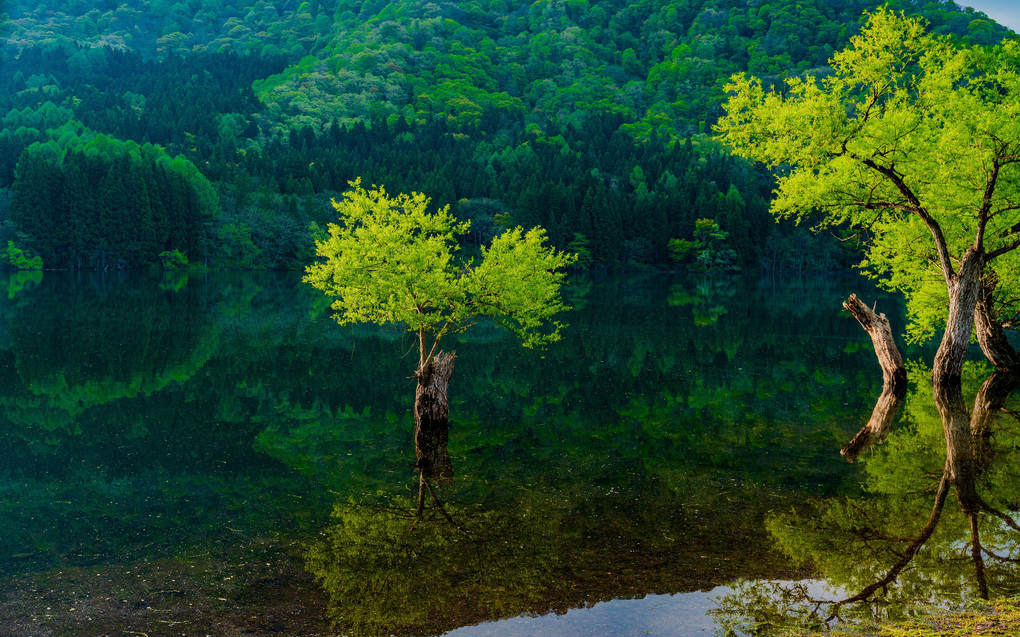 北竜湖の朝