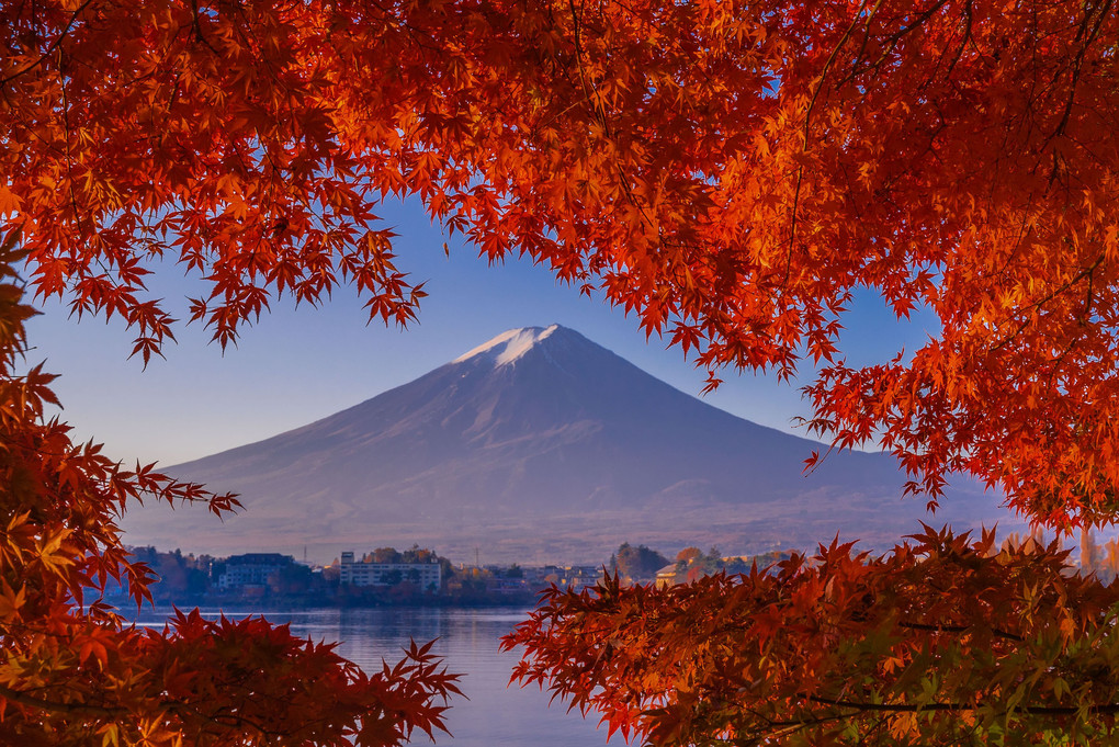 富士山と紅葉と