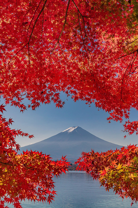 富士山と紅葉と