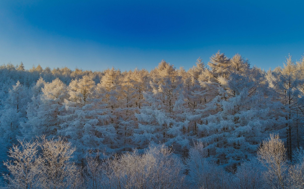 雪の世界に。