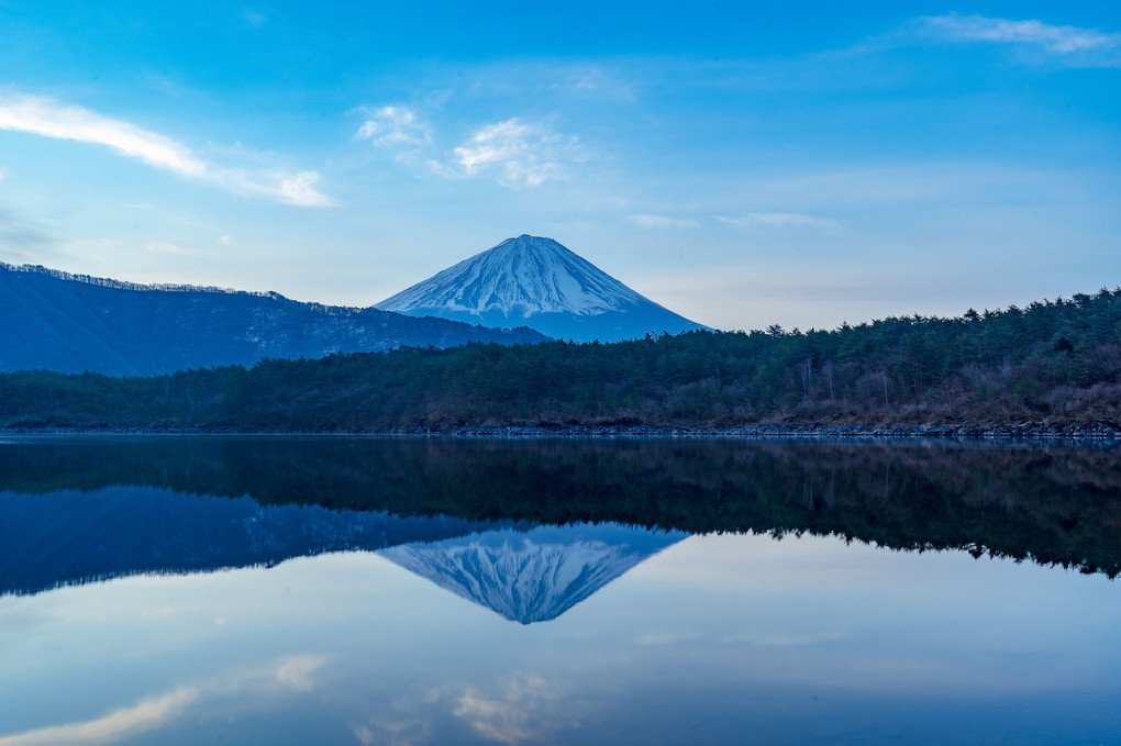 富士山と共に