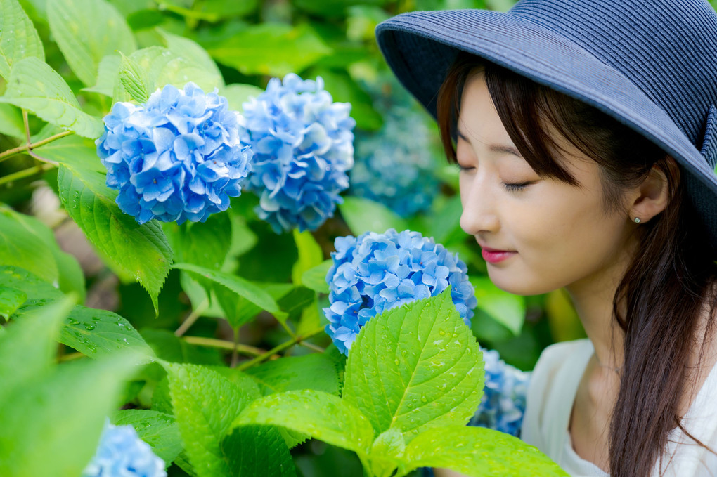 美女と紫陽花