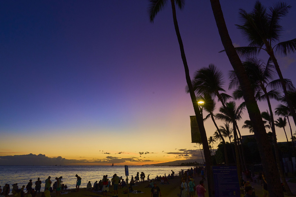 Waikiki Twilight