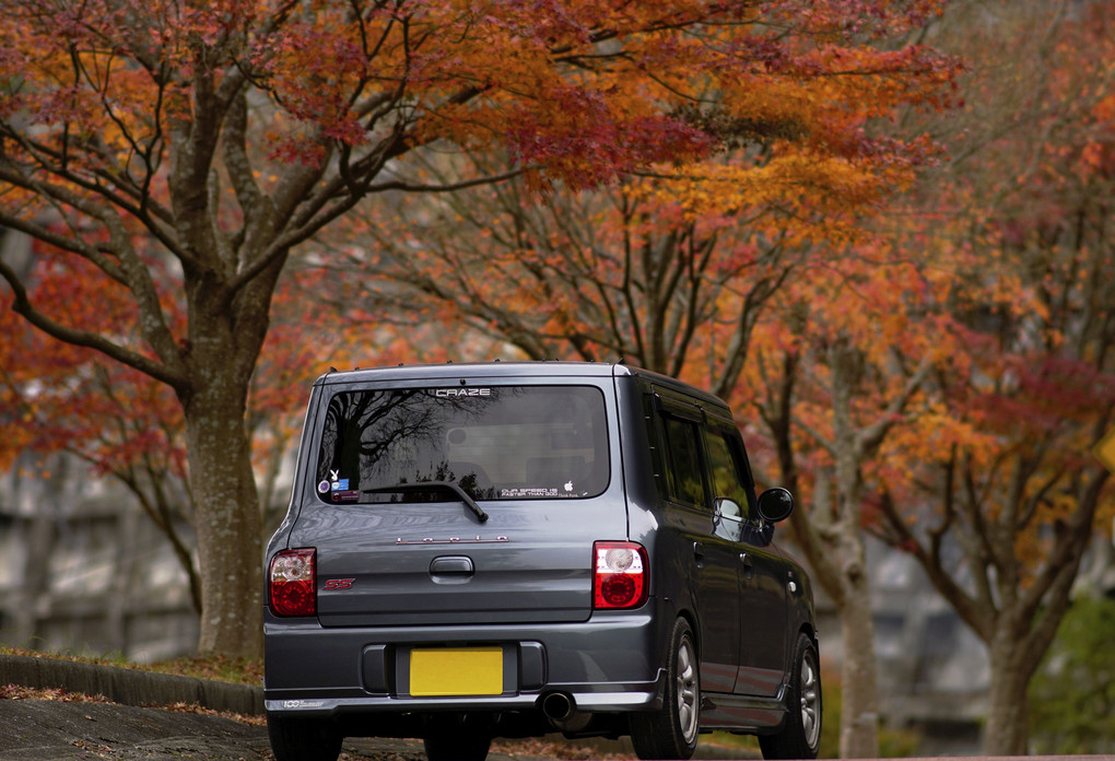 Autumn Leaves②
