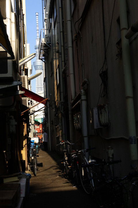 路地裏夢探し~浅草あたり～