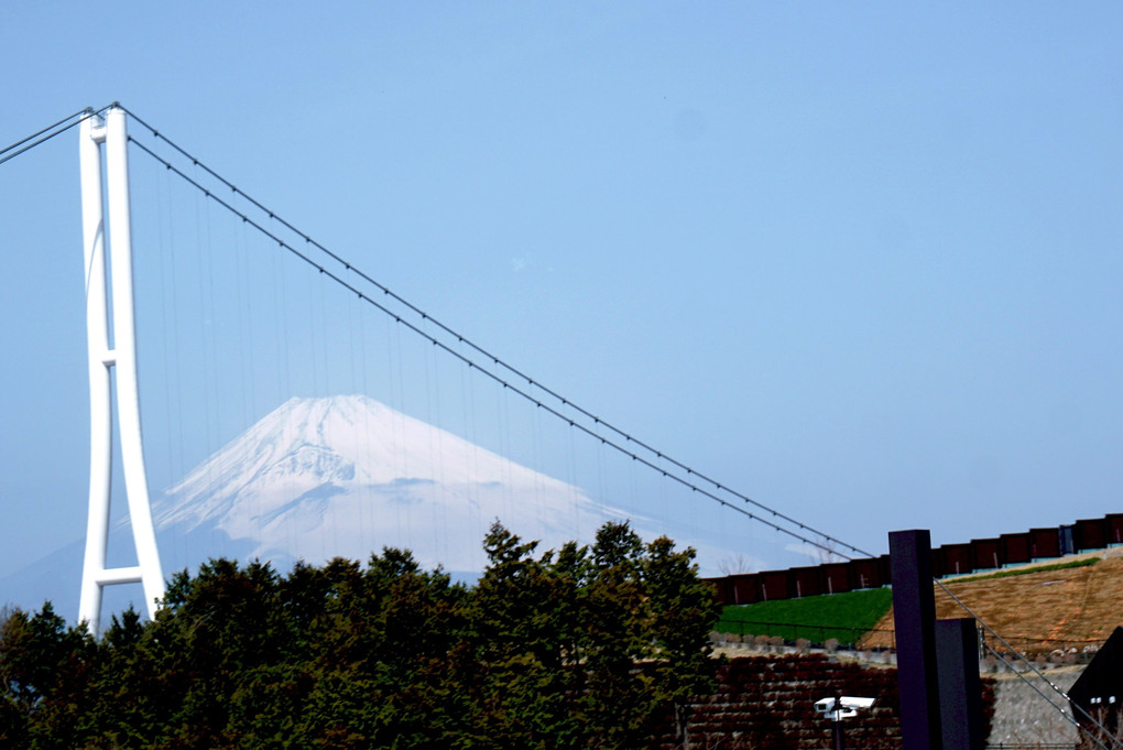 三島スカイウォークの富士山