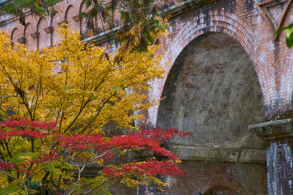 南禅寺水路閣と紅葉