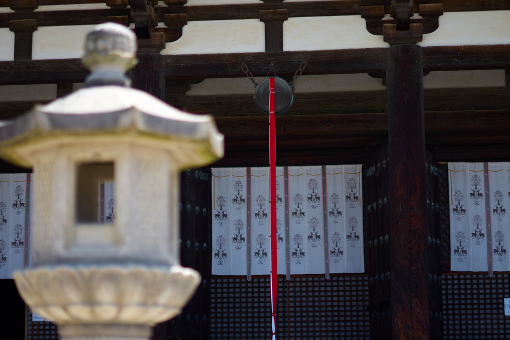 奈良公園散策（東大寺から興福寺へ）