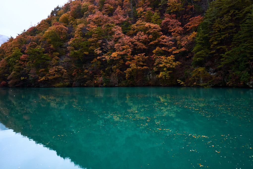 平ダム湖の紅葉
