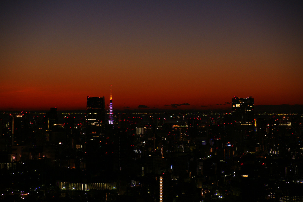 夜明けの東京タワー