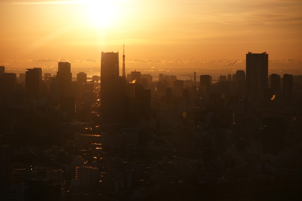 東京の朝