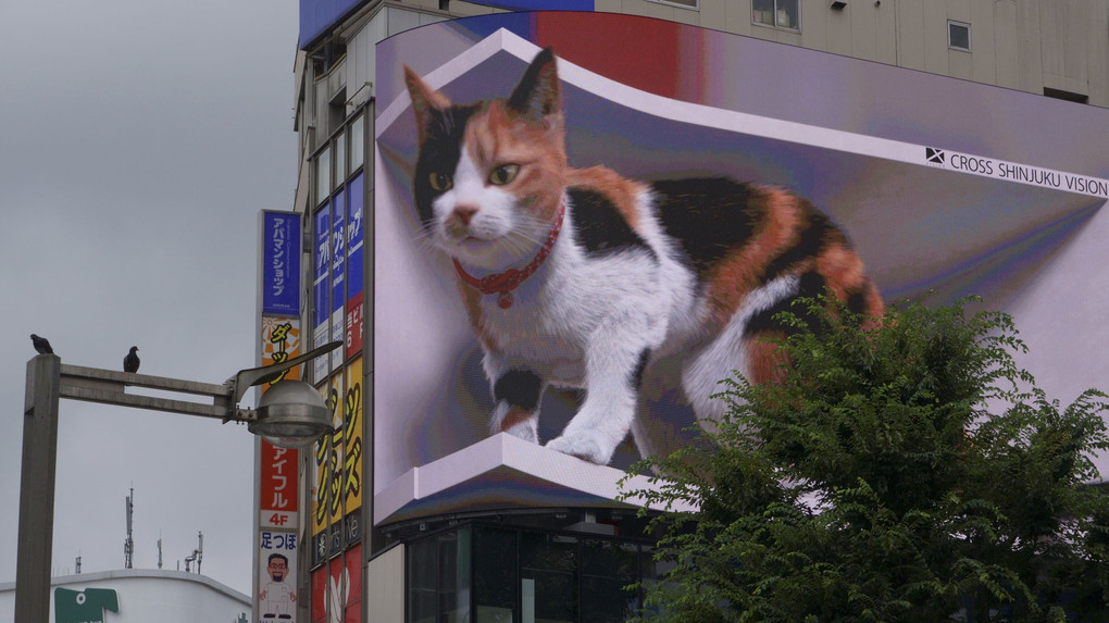 新宿散歩-12　駅前に巨大ネコ出現！！