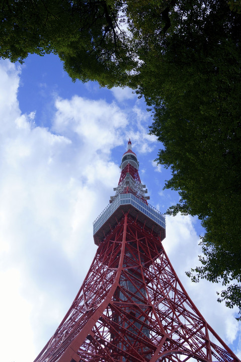 「虚」と「実」の東京タワー