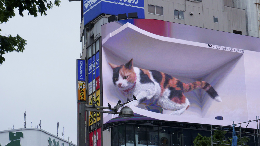 新宿散歩-21 駅前の巨大ネコ、まだ見られますよ！＠新宿東口駅前