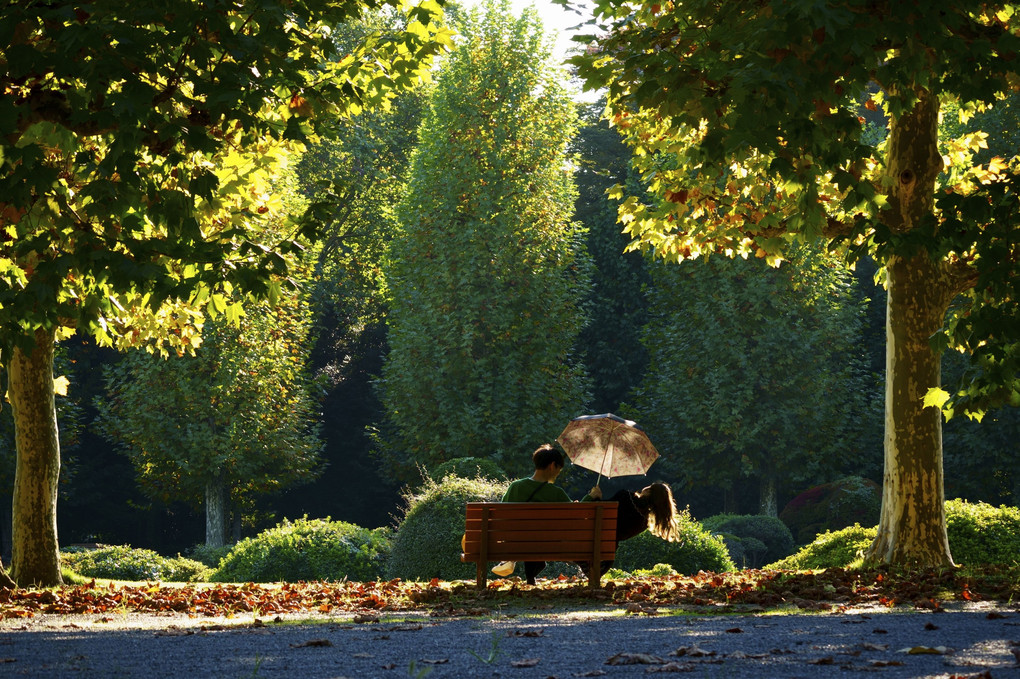 色づく秋-2：秋の陽だまり　＠新宿御苑