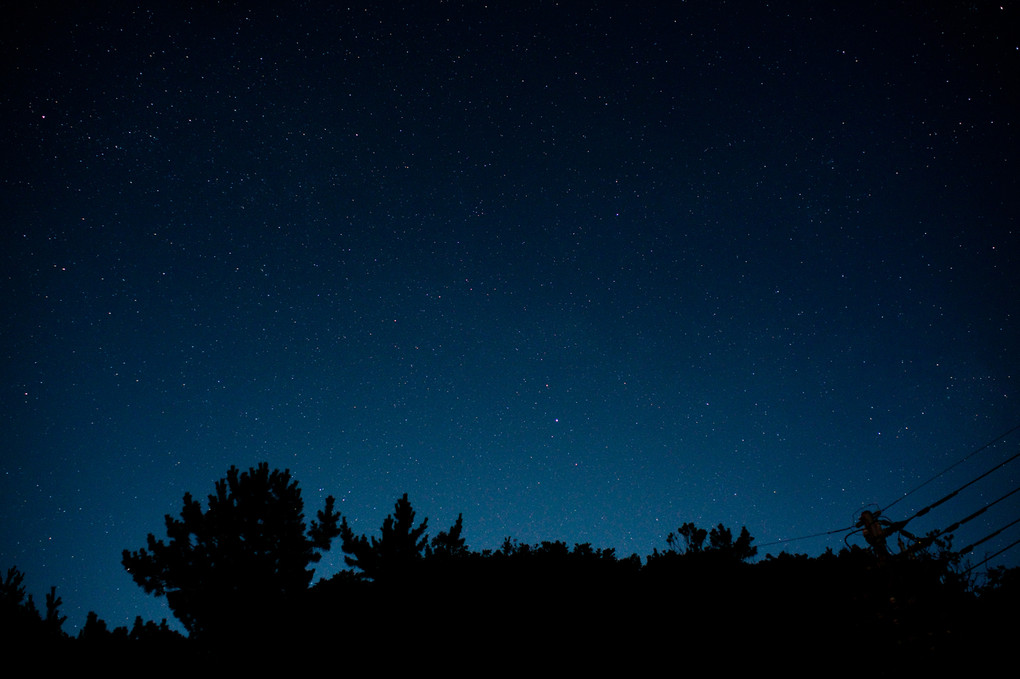 STARDUST NIGHT　‐ 真夏の夜の夢 -