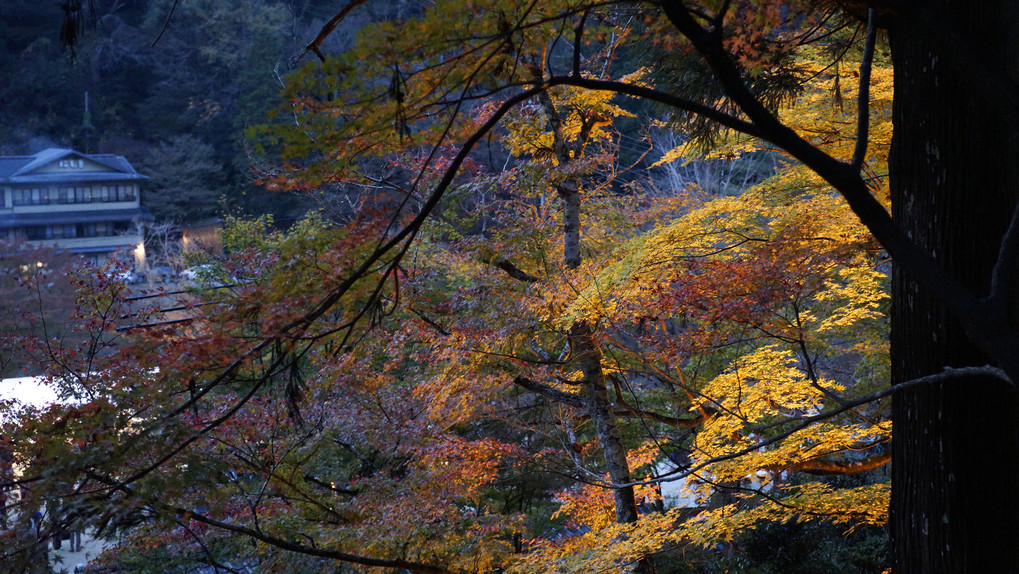 紅葉 ～香嵐渓～