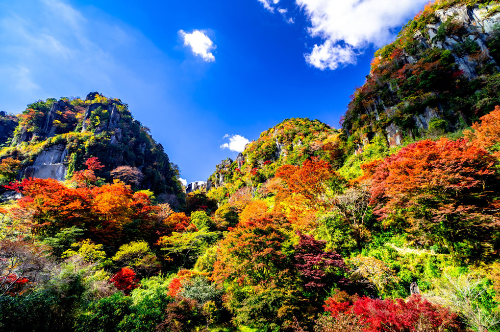 一目八景(深耶馬溪)