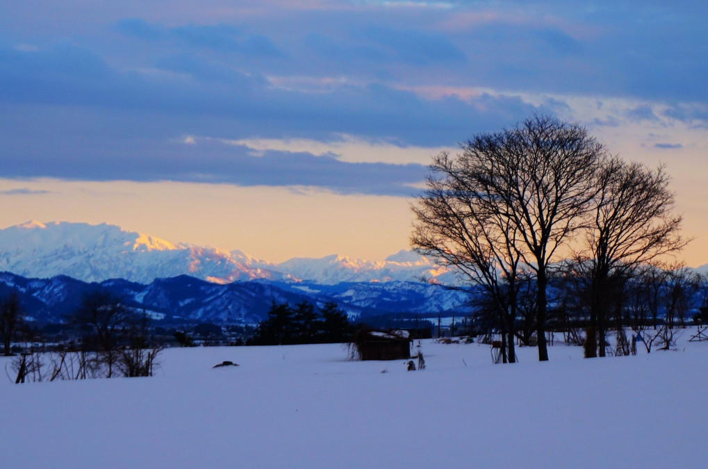 夕陽に光る雪の山並み