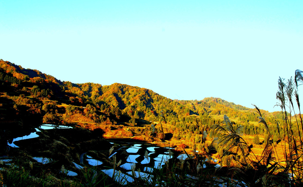 越後 松代星峠 棚田