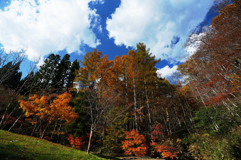 紅葉狩りへ♪　岐阜県・宇津江四十八滝にて