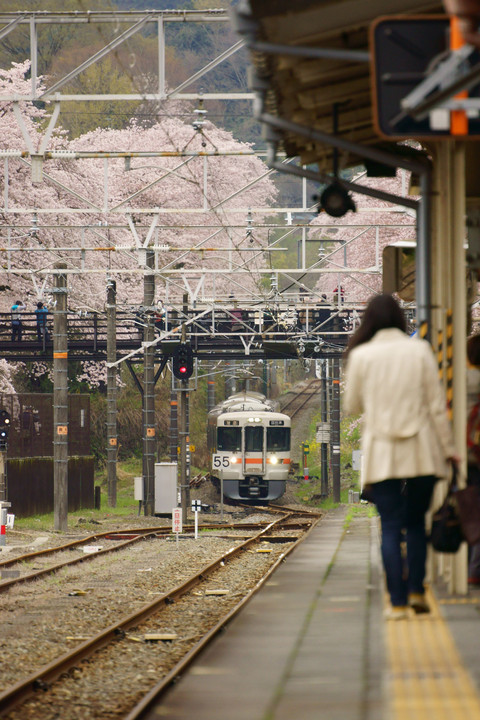 櫻の駅