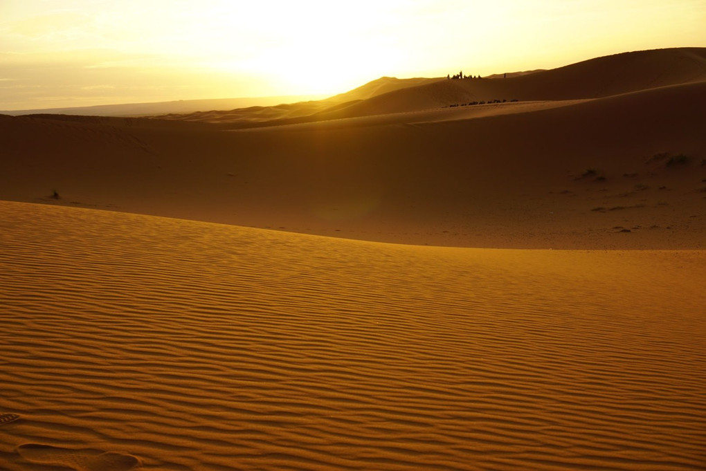 サハラ砂漠のサンライズ。