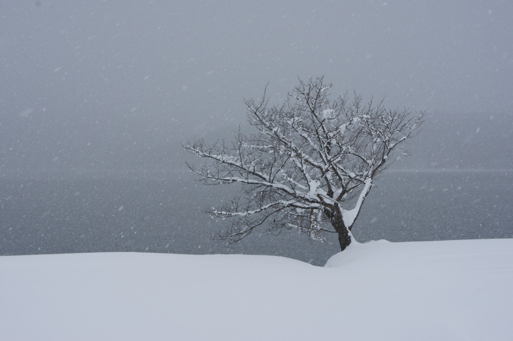 雪降る青木湖