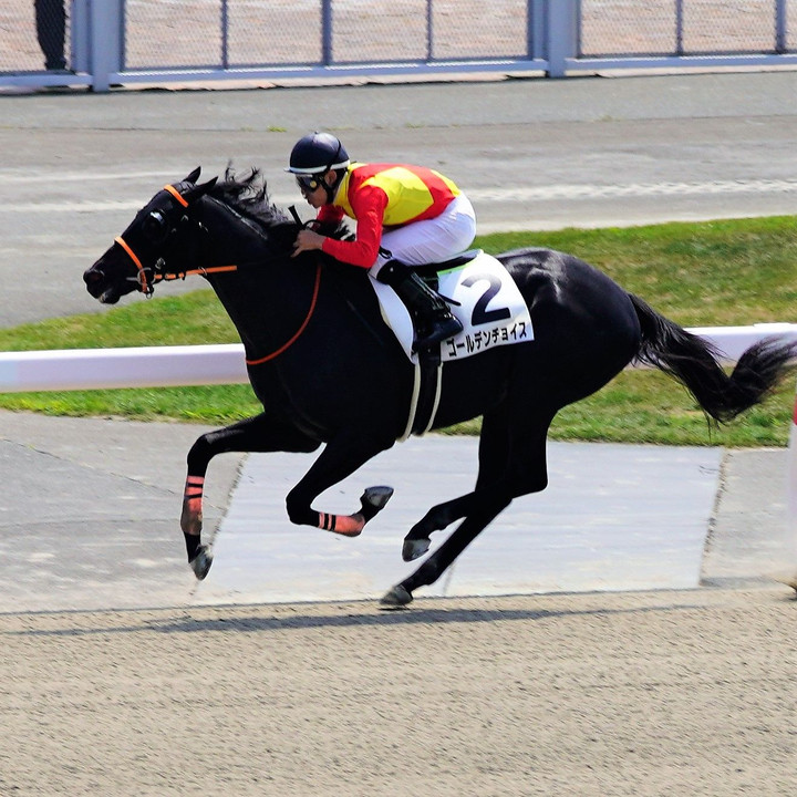 馬が跳ぶ