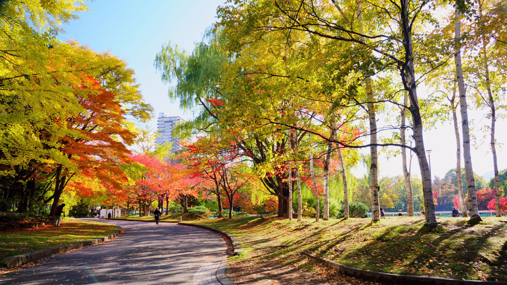 秋の「中島公園」