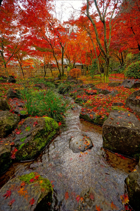 祐徳稲荷神社の紅葉