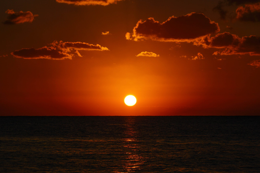 だるま太陽 in Calibian Ocean