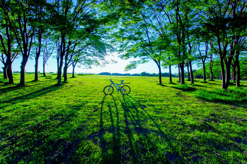 自転車 ver 30 greendays