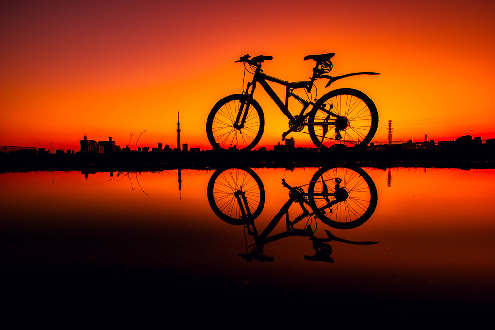 自転車 ver 19 red reflection Ⅲ