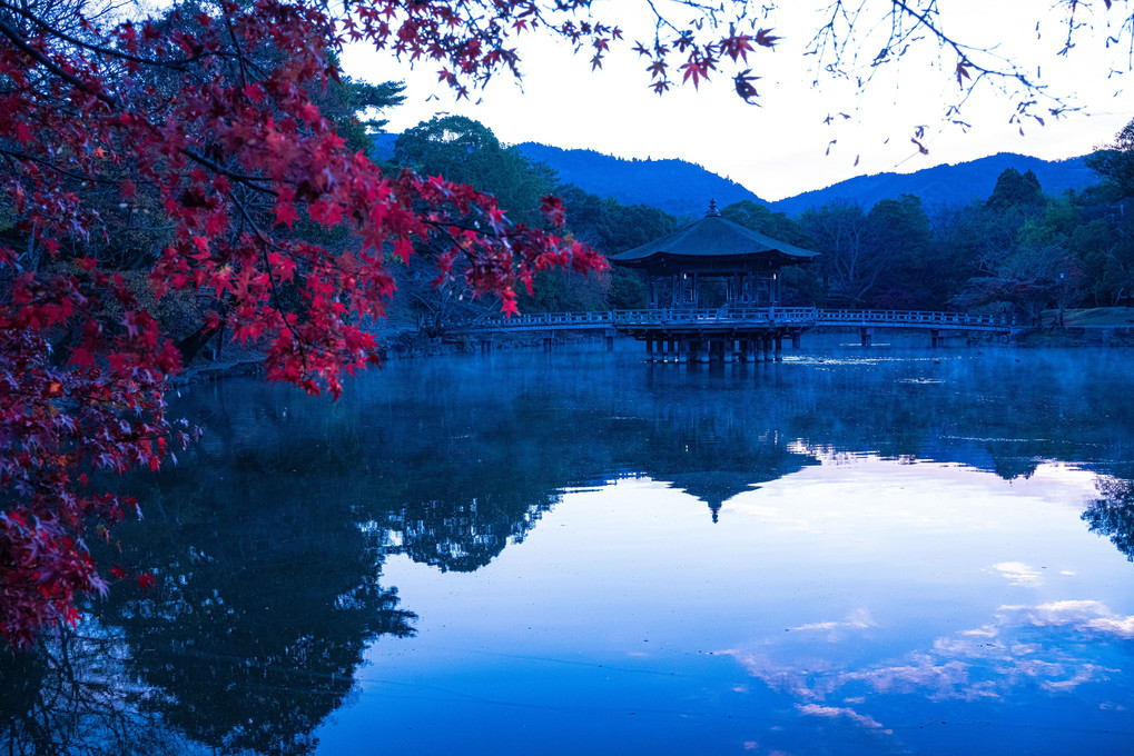 奈良公園　浮御堂　紅葉