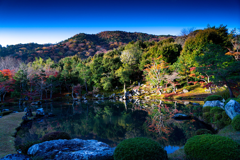 天龍寺　早朝拝観