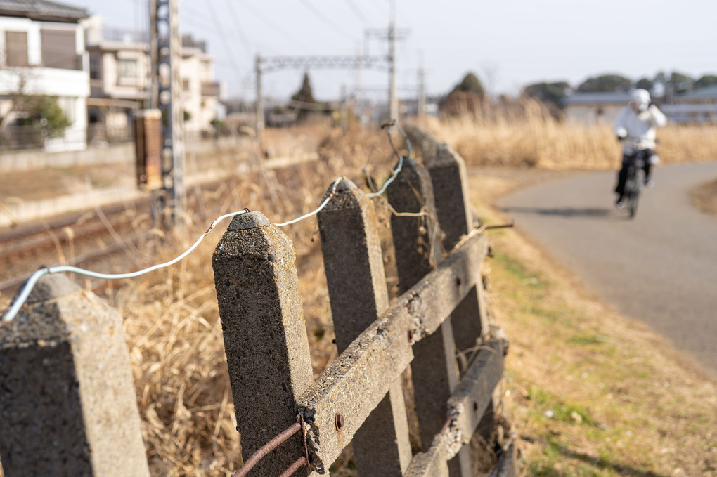 暖かな陽ざしに誘われて