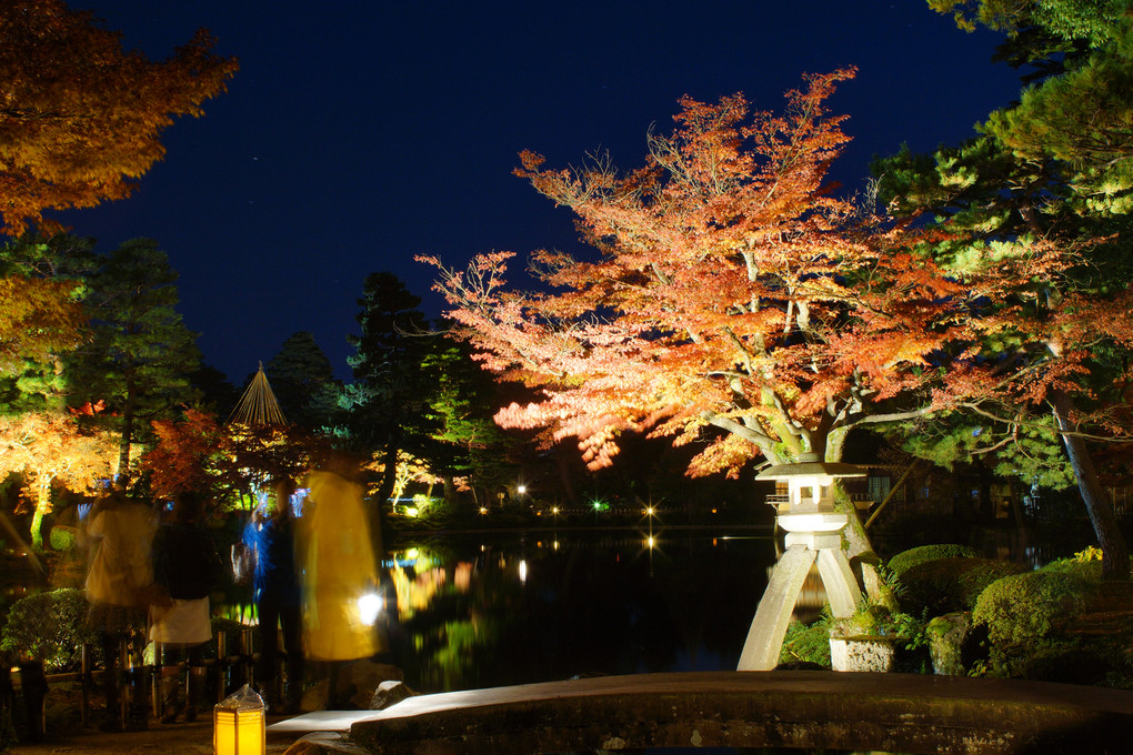 2013 兼六園ライトアップ　～秋の段～