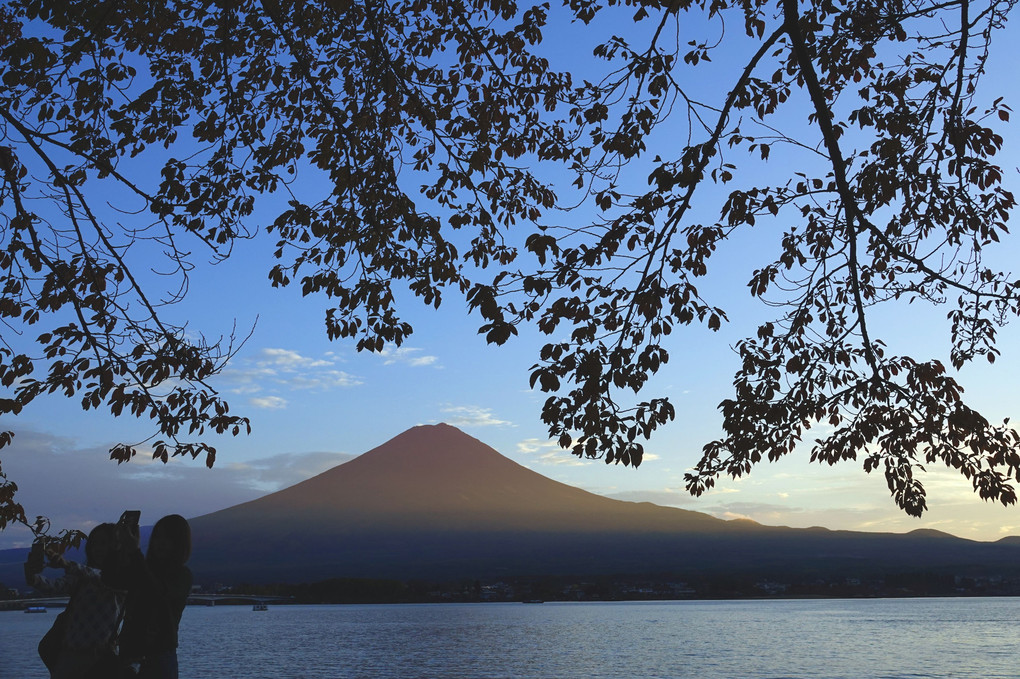 秋　夕暮れの富士