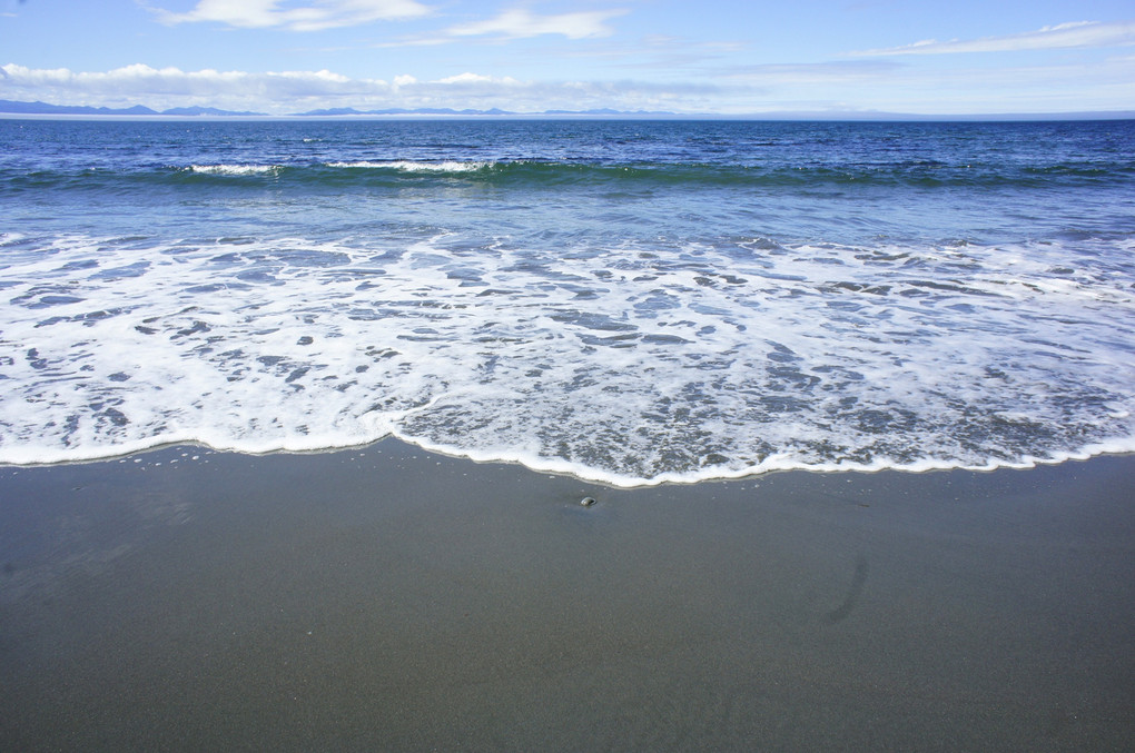 カナダBC州バンクーバー島の海