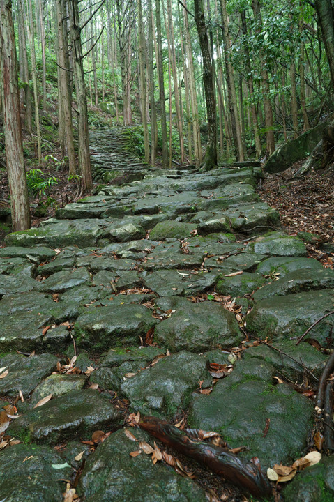 エアリー撮影熊野市伊勢路松木峠